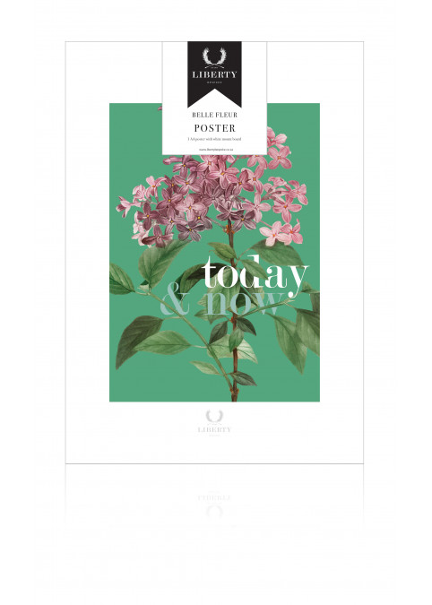 Belle Fleur Posters