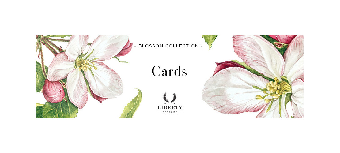 Cards and Envelopes